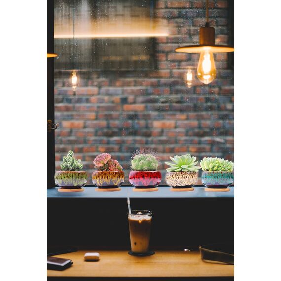 LAMDAWN Niedliche Keramik-Sukkulenten-Gartentöpfe, Übertopf mit Drainage und befestigtem Untersetzer, 5er-Set – Pflanzen Nicht im Lieferumfang enthalten (rund)