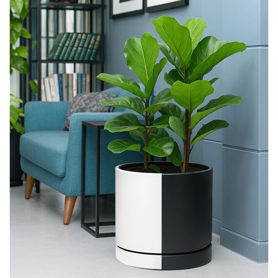 D'vine Dev 30,5 cm Keramik-Pflanztopf mit Ablaufloch und Untersetzer, zylinderförmig, rund, geteilt, einfarbig, Schwarz und Weiß, 94-O-F-0