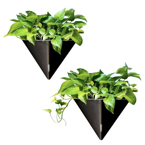 LáLáGreen Wand-Pflanzgefäße für Zimmerpflanzen – 2 Stück, 30,5 cm groß, selbstbewässernd, schwarz, geometrisch, hängende Blumenvase, Gefäß mit Metallaufhänger, modern, stilvoll, zur Wandmontage,