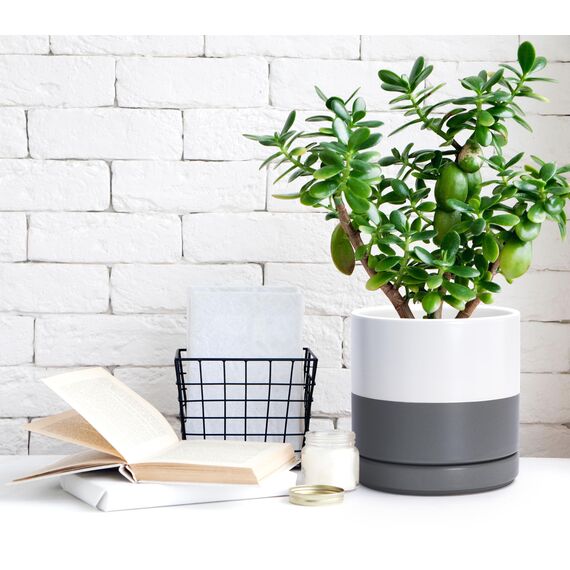 D'vine Dev 94-T-L-6 Runde Keramik-Pflanztöpfe mit Ablaufloch und Untersetzer, 15,2 cm, 20,3 cm und 25,4 cm, Weiß gesprenkelt Grau, 3 Stück