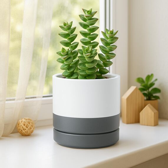 D'vine Dev 94-T-M-6 Runde Keramik-Übertöpfe mit Ablaufloch und Untersetzer, 10,2 cm, 15,2 cm, 15,2 cm, 20,3 cm, Weiß / Grau gesprenkelt