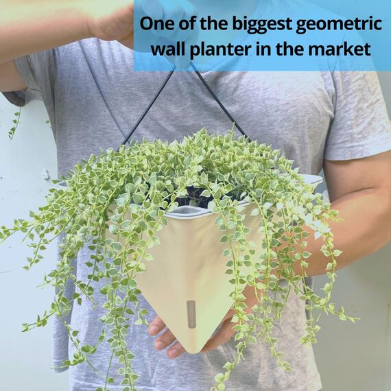 LaLaGreen Wand-Pflanzgefäße für Zimmerpflanzen, 4 Stück, 30,5 cm, groß, selbstwässernd, Schwarz und Weiß, gemischte Farben, geometrisch, vertikal, Garten, Wandbehang, Blumenvase, Gefäß mit