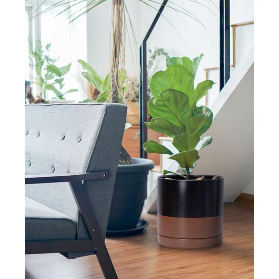 D'vine Dev 94-O-E-7 Keramik-Blumentopf mit Ablaufloch und Untersetzer, zylinderförmig, runder Blumentopf für den Innenbereich, Schwarz/Hellbraun gesprenkelt, 25,4 cm