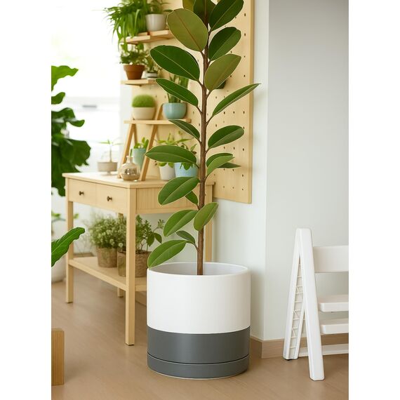 D'vine Dev 94-O-G-6 Keramik-Blumentopf mit Ablaufloch und Untersetzer, zylinderförmig, runder Blumentopf für den Innenbereich, Weiß/Grau gesprenkelt, 35,6 cm