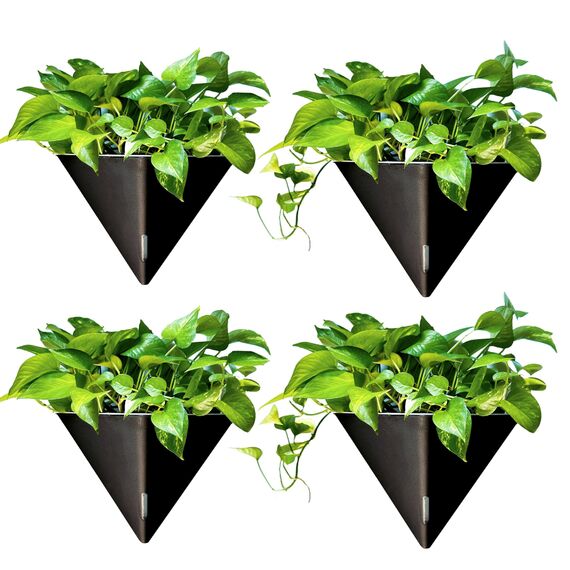 LaLaGreen Wand-Pflanzgefäße für Zimmerpflanzen – 4 Stück, 30,5 cm große, selbstbewässernde schwarze geometrische Blumenvase zum Aufhängen, Gefäß mit Metallaufhänger, modern, stilvoll, Wandmontage,