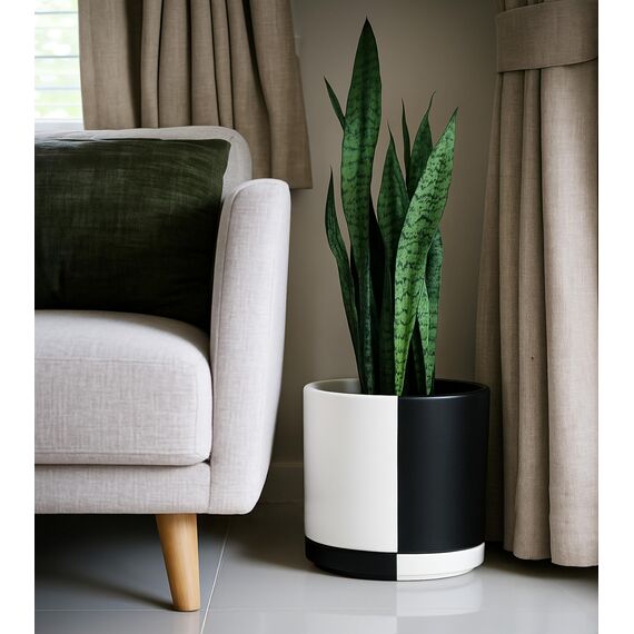 D'vine Dev 30,5 cm Keramik-Pflanztopf mit Ablaufloch und Untersetzer, zylinderförmig, rund, geteilt, einfarbig, Schwarz und Weiß, 94-O-F-0