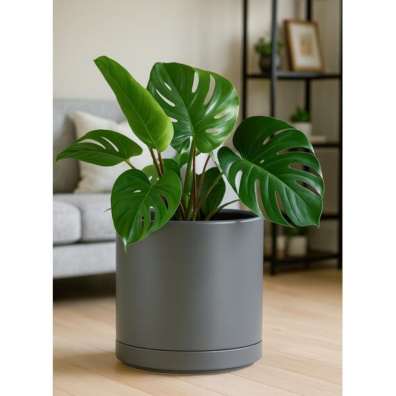 D'vine Dev 30,5 cm Keramik-Pflanztopf mit Ablaufloch und Untersetzer, zylinderförmig, runder Pflanztopf für den Innenbereich, gesprenkelt, grau, 94-O-F-3