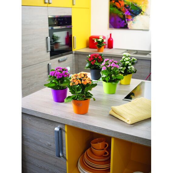 Soendgen Keramik Blumenübertopf, Dallas Esprit, anthrazit, 28 x 28 x 27 cm, 0078/0028/0207