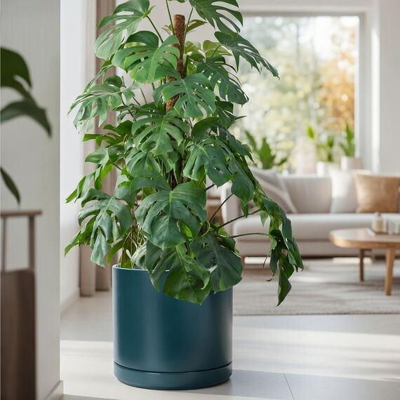 D'vine Dev 35,6 cm Keramik-Pflanztopf mit Ablaufloch und Untersetzer, Zylinder, runder Pflanztopf für den Innenbereich, Blaugrün, 94-O-G-9