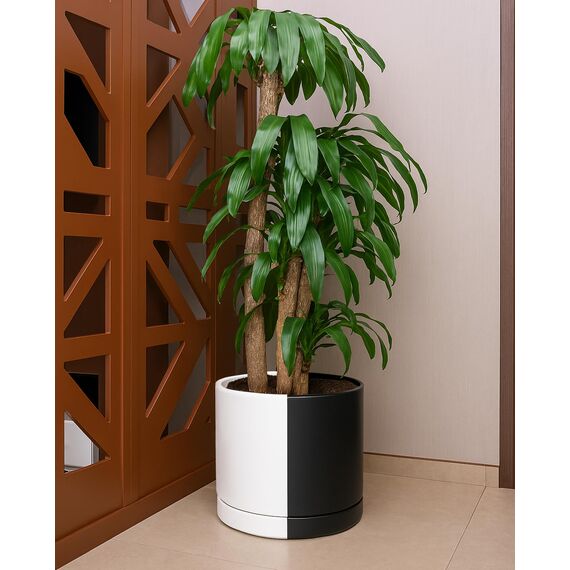 D'vine Dev 30,5 cm Keramik-Pflanztopf mit Ablaufloch und Untersetzer, zylinderförmig, rund, geteilt, einfarbig, Schwarz und Weiß, 94-O-F-0