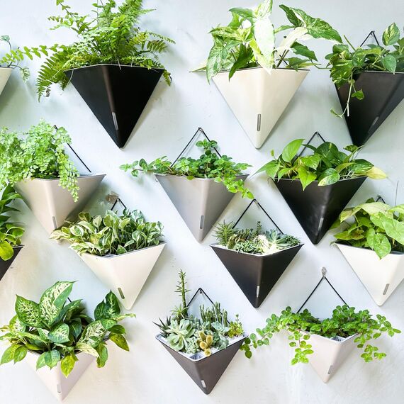 LaLaGreen Wand-Pflanzgefäße für Zimmerpflanzen – 4 Stück, 30,5 cm große, selbstbewässernde schwarze geometrische Blumenvase zum Aufhängen, Gefäß mit Metallaufhänger, modern, stilvoll, Wandmontage,