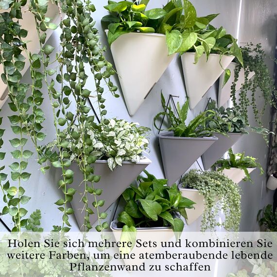 LaLaGreen Sukkulenten-Wand-Pflanzgefäße – 2 Stück, 30.5 cm groß, selbstbewässernd, Wandbehang, Pflanzgefäße für Zimmerpflanzen, graue Wandhalterung, schwarzer Metallaufhänger, wohnende Wanddekoration