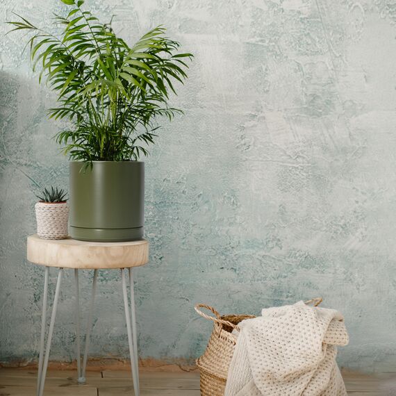 D'vine Dev 20,3 cm Keramik-Pflanztopf mit Ablaufloch und Untersetzer, Zylinder, runder Pflanztopf für den Innenbereich, Olivgrün, 94-O-D-J