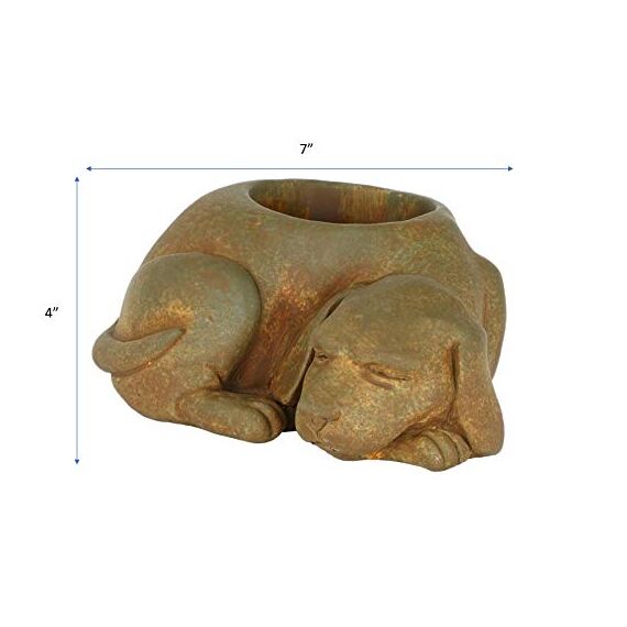 Classic Home and Garden Zement Buddies Tier-Pflanzgefäß – niedliche Schreibtischdekoration – UV-beschichtete Tiervase mit Ablaufstopfen – Sukkulenten-Blumentopf für den Innen- und Außenbereich