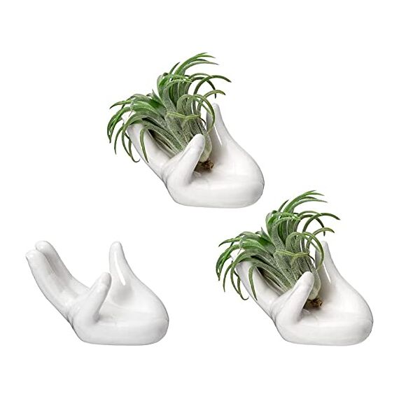Dahey Luft-Pflanzenhalter, Set mit 3 niedlichen Keramik-Mini-Hand-Ständer für Luftpflanzen, Tillandsien, Kleiner Behälter, Topfpflanze, dekorative Heimdekoration für Schreibtisch, Tisch, Regal
