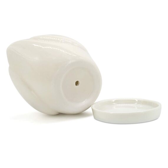 GeLive Keramik-Sukkulenten-Übertopf, Blumenvase, Bonsai-Fensterbank-Box mit Drainage-Untersetzer, bezaubernde Dekoration für den Innenbereich, Weiß