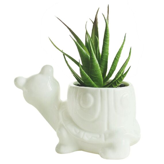 gelive Elefant weiß Keramik Sukkulente Übertopf Blumentopf Fenster Karton mit Untertasse
