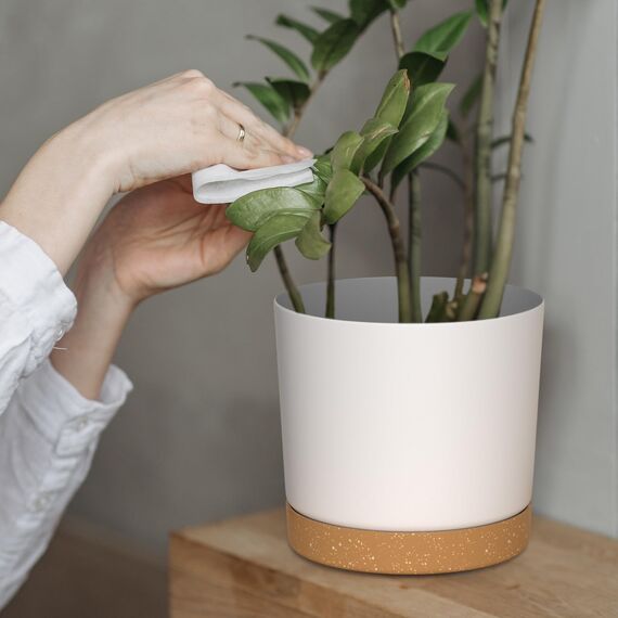 ZMTECH 16,5 und 20,3 cm Blumentopf, 4 Stück selbstwässernder Kunststoff-Pflanztopf mit Untersetzern, Tabletts und Drainageloch, moderner dekorativer Blumentopf, Pflanzbehälter für drinnen und draußen,