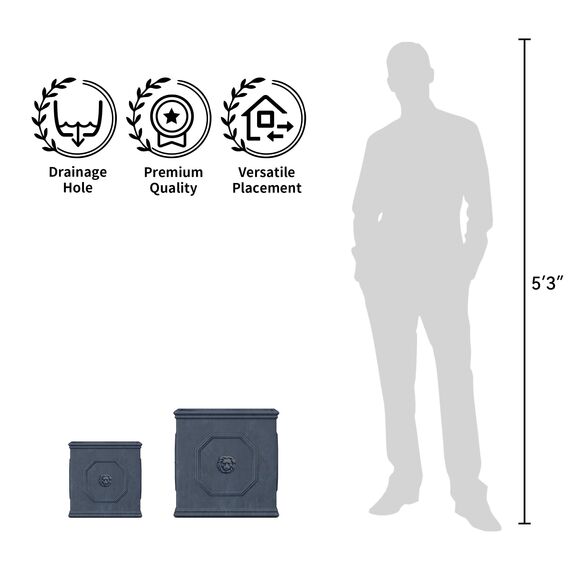Kante Quadratischer Pflanzkübel aus Beton mit Löwenkopf, 25,4 cm, großer Blumentopf mit Drianage, Moderne Dekoration im englischen Stil, Dekoration für Zuhause, Terrasse, Garten, Antikgrau