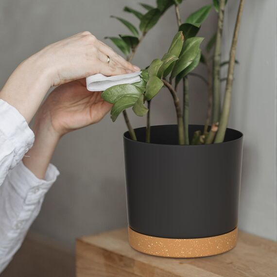 ZMTECH Selbstbewässernde Blumentöpfe aus Kunststoff, mit Drainagelöchern und Untersetzern, dekorativ, modern, für Innen- und Außenbereich, Haus, Garten, 16,5 cm und 20 cm, 4 Stück