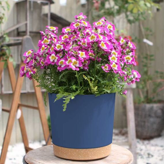 ZMTECH Blumentöpfe aus Kunststoff mit Bewässerungslöchern und Untersetzer, für den Innen- und Außenbereich, 16,5 cm, Blau, 6 Stück