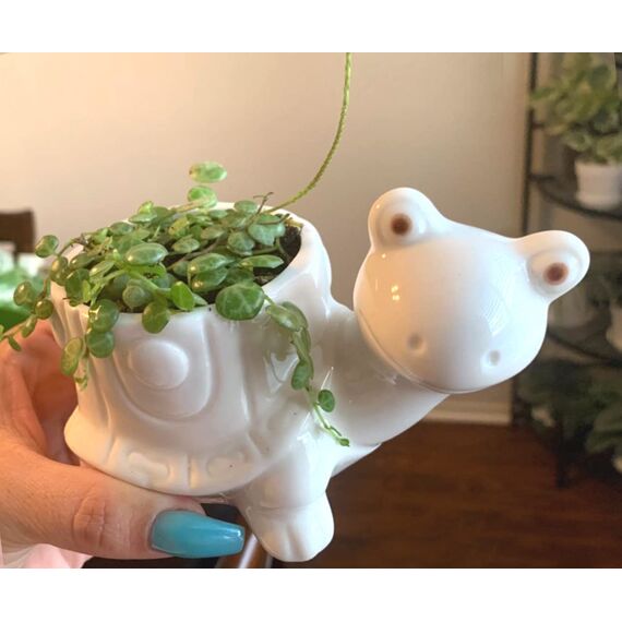 gelive Elefant weiß Keramik Sukkulente Übertopf Blumentopf Fenster Karton mit Untertasse