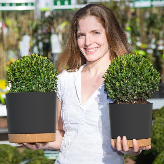 ZMTECH Selbstbewässernde Blumentöpfe aus Kunststoff, mit Drainagelöchern und Untersetzern, dekorativ, modern, für Innen- und Außenbereich, Haus, Garten, 16,5 cm und 20 cm, 4 Stück