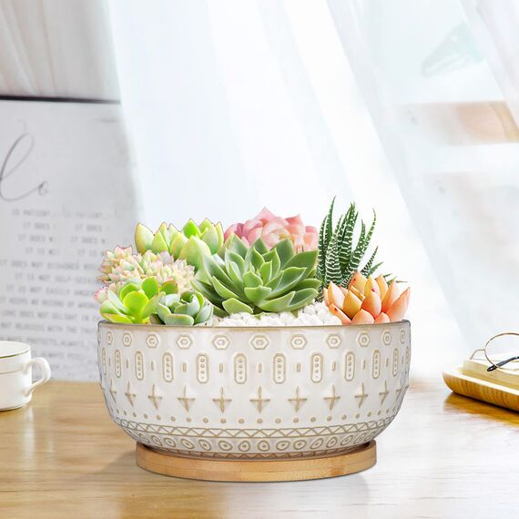 Fivepot Keramiktöpfe für Sukkulenten mit Abflussloch, Blumentopf für Zimmerpflanzen, runde Flache Bonsaischale mit Bambustablett, 20,3 cm, Weiß