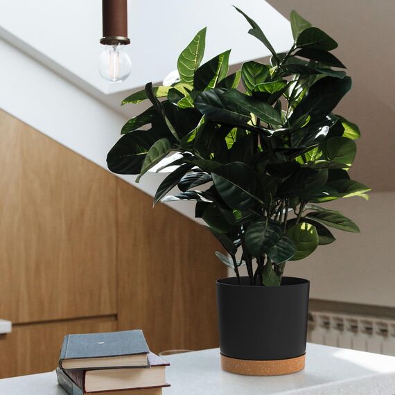 ZMTECH Selbstbewässernde Blumentöpfe aus Kunststoff, mit Drainagelöchern und Untersetzern, dekorativ, modern, für Innen- und Außenbereich, Haus, Garten, 16,5 cm und 20 cm, 4 Stück