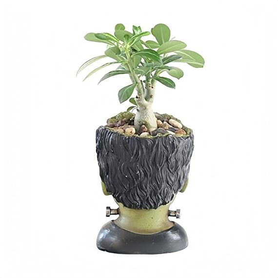 Youfui Lustiger Pflanztopf für den Innenbereich, aus Kunstharz, Stifthalter mit Ablaufloch, große Öffnung für 14 cm große Pflanzen