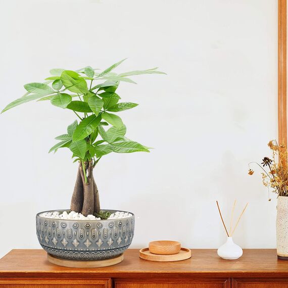 Fivepot 8 Zoll Keramik Sukkulenten Pflanztopf Töpfe mit Drainageloch Blumentopf für Zimmerpflanzen Rund Flach Bonsai Topf mit Bambustablett Blau