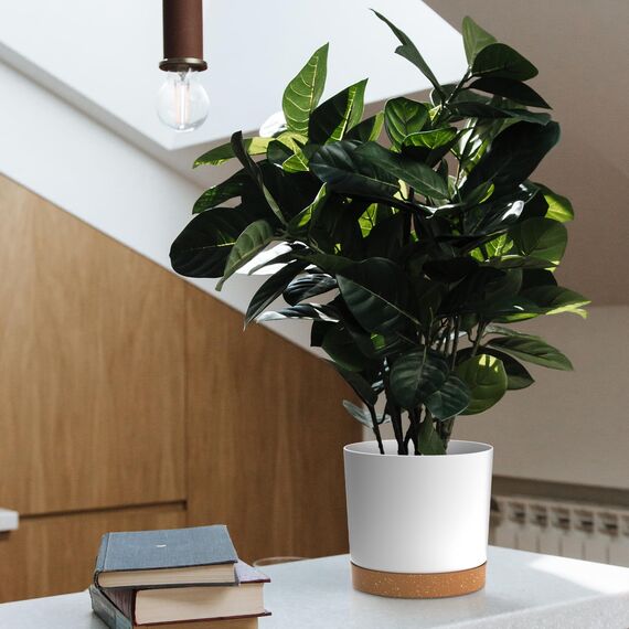 ZMTECH 16,5 und 20,3 cm Blumentopf, 4 Stück selbstwässernder Kunststoff-Pflanztopf mit Untersetzern, Tabletts und Drainageloch, moderner dekorativer Blumentopf, Pflanzbehälter für drinnen und draußen,