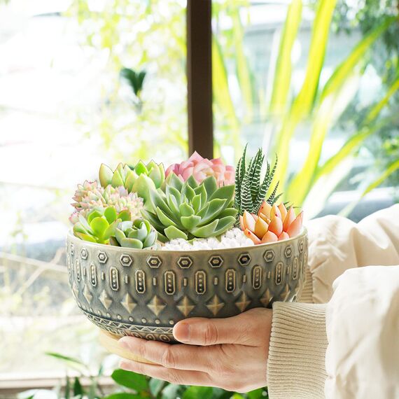 Fivepot 8 Zoll Keramik Sukkulenten Pflanztopf Töpfe mit Drainageloch Blumentopf für Zimmerpflanzen Rund Flach Bonsai Topf mit Bambustablett Blau