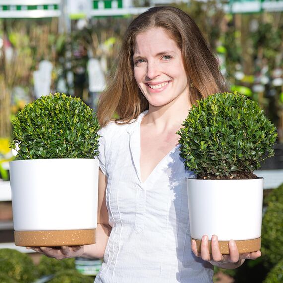 ZMTECH 16,5 und 20,3 cm Blumentopf, 4 Stück selbstwässernder Kunststoff-Pflanztopf mit Untersetzern, Tabletts und Drainageloch, moderner dekorativer Blumentopf, Pflanzbehälter für drinnen und draußen,