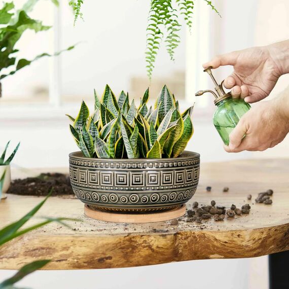 G EPGardening 20,3 cm große Keramik-Sukkulenten-Übertöpfe, rund, flach, Bonsai-Pflanztopf für Zimmerpflanzen mit Drainage und Bambus-Untersetzer, Grau