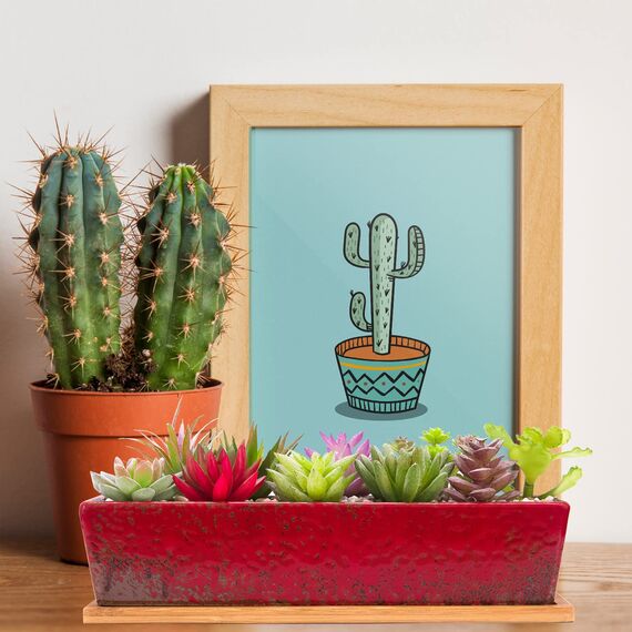 ARTKETTY Sukkulententöpfe, Lange rechteckige Sukkulenten-Übertöpfe mit Drainage-Bambusschalen, aus Keramik, Flacher Bonsai-Fensterkasten, Hausgartendekoration, 30,5 cm, Rot