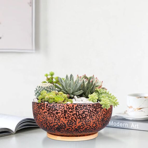Fivepot 25,4 cm großer Terrakotta-Sukkulenten-Übertopf für Garten, Pflanzschale, tiefer Blumentopf, Innen- und Außenbereich, Dekoration, Drainage, Bambus-Tablett