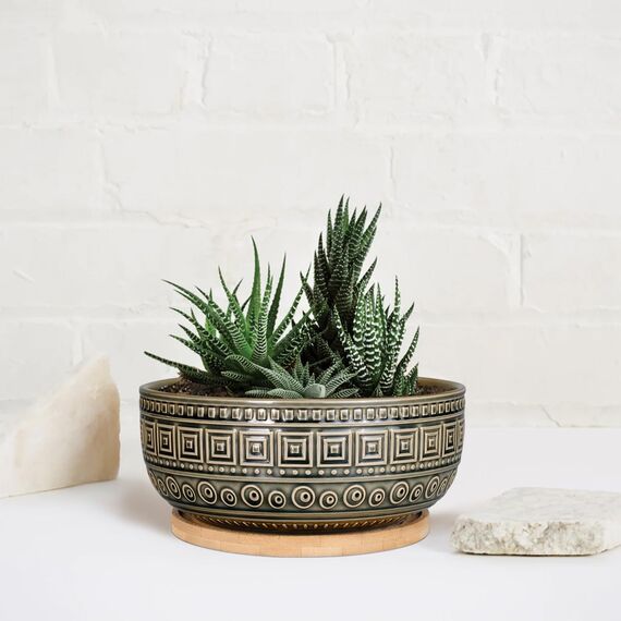 G EPGardening 20,3 cm große Keramik-Sukkulenten-Übertöpfe, rund, flach, Bonsai-Pflanztopf für Zimmerpflanzen mit Drainage und Bambus-Untersetzer, Grau