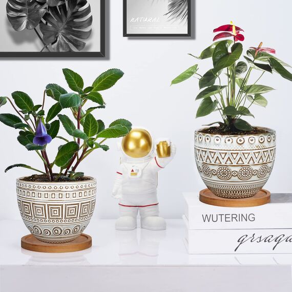 G EPGardening 14 cm großer runder Sukkulenten-Übertopf aus Keramik, für drinnen und draußen, Braun, 2 Stück