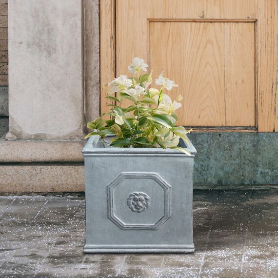 Kante Leichter klassischer quadratischer Übertopf im englischen Stil, Löwenkopf, 25,9 x 25,9 x 25,9 cm, Antikgrau