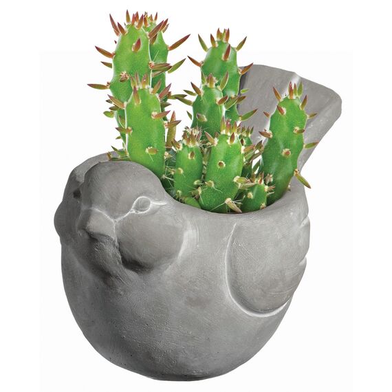 Classic Home and Garden Zement Buddies Tier-Pflanzgefäß – niedliche Schreibtischdekoration – UV-beschichtete Tiervase mit abnehmbarem Ablaufstopfen – Sukkulenten-Übertopf für den Innen- und