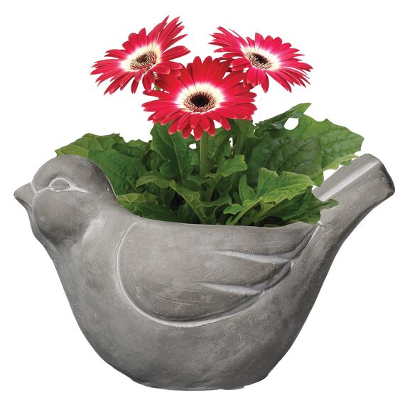 Classic Home and Garden Cement Buddies Vogel-Pflanzgefäß für drinnen und draußen, Grau, groß, 22,9 cm