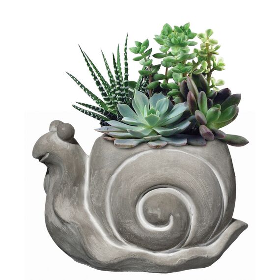 Classic Home and Garden Cement Buddies Pflanzgefäß für drinnen und draußen, mit Ablaufloch, lächelnde Schnecke, Naturgrau, groß, 20,3 cm