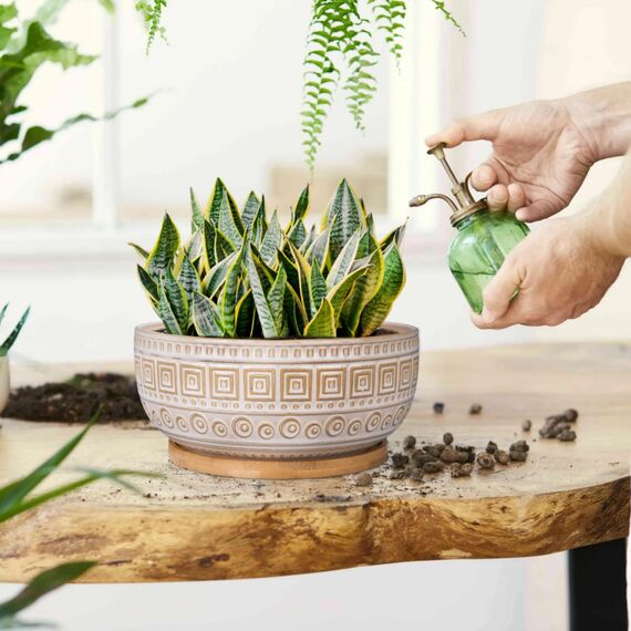 G EPGardening 20,5 cm Keramik-Sukkulenten-Übertöpfe, rund, flach, Bonsai-Pflanztopf für Zimmerpflanzen mit Drainage und Bambus-Untersetzer, Weiß