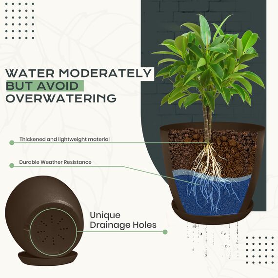 Utopia Home 10er-Pack Blumentopf 18/17/15/13/12 cm Übertopf mit Untertasse Für Küche, Balkon Blumentöpfe mit Untertasse Gartenpflanzen Sukkulenten, Baumschule Blumentopf für Zimmerpflanzen Braun.