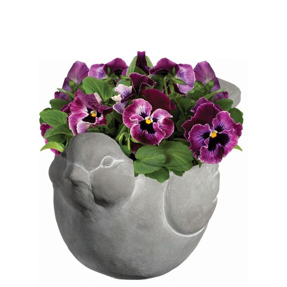 Classic Home and Garden Zement Buddies Tier-Pflanzgefäß – niedliche Schreibtischdekoration – UV-beschichtete Tiervase mit abnehmbarem Ablaufstopfen – Sukkulenten-Übertopf für den Innen- und