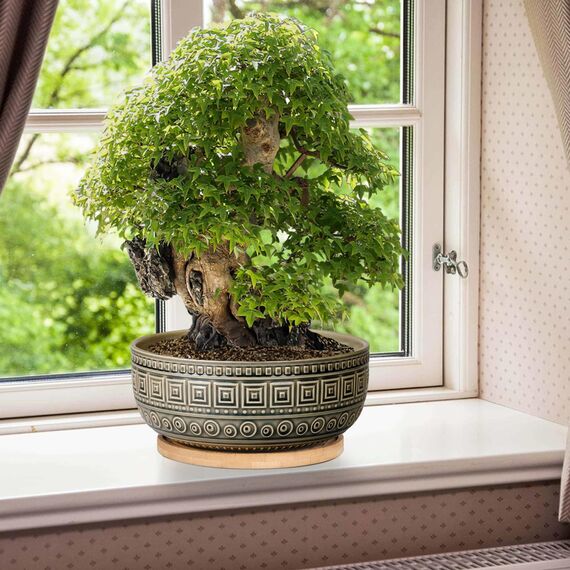 G EPGardening 20,3 cm große Keramik-Sukkulenten-Übertöpfe, rund, flach, Bonsai-Pflanztopf für Zimmerpflanzen mit Drainage und Bambus-Untersetzer, Grau