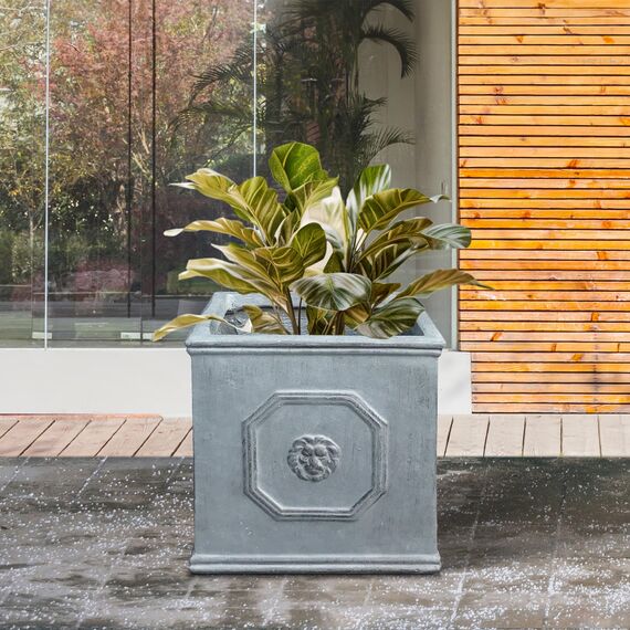 Kante Leichter klassischer quadratischer Übertopf im englischen Stil, Löwenkopf, 25,9 x 25,9 x 25,9 cm, Antikgrau