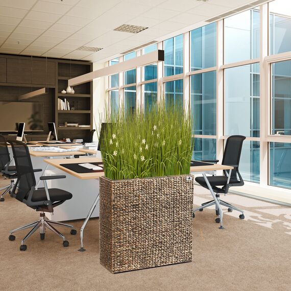 Gartenfreude Wasserhyazinthe, 77 x 28 x 77 cm, inkl. wasserdichtem Kunststoffeinsatz, braun, 4001-1012-001