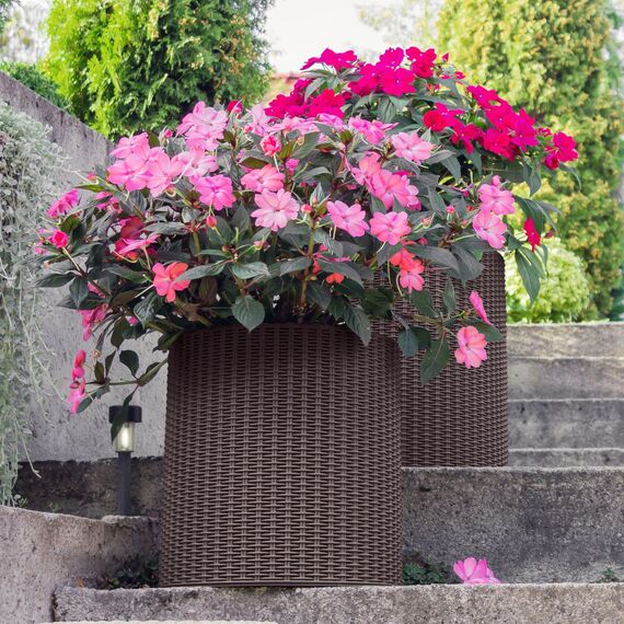 Curver Garten Pflanzentopf